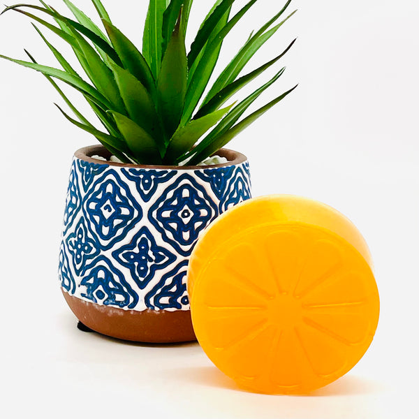 Citrus Slice Shave Soap - Anything Mama Co.