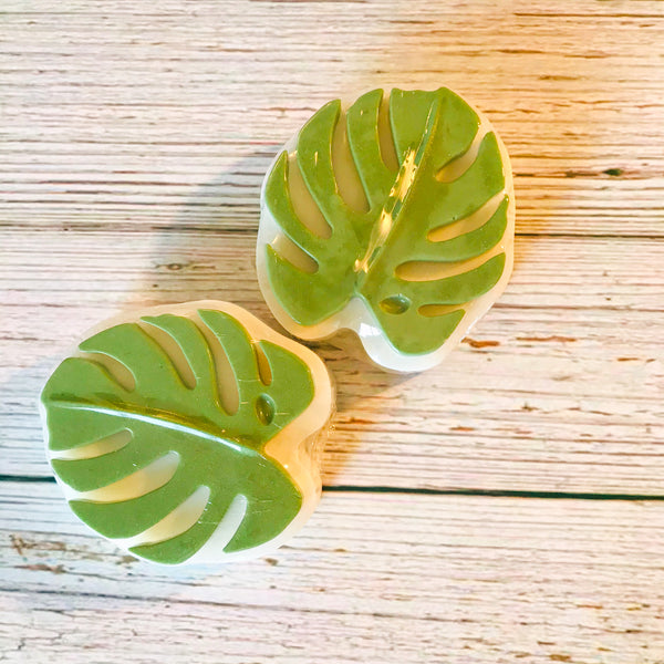 KEEP Palm and Carry On! (Set of 2 bars) - Anything Mama Co.