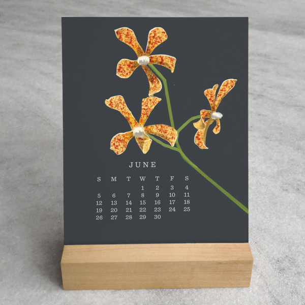 Orchid Desk Calendar 2022